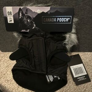 Canada pooch Everest explorer 08 nwt. Smoke free home